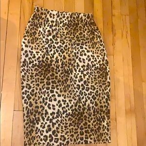 Pencil Skirt